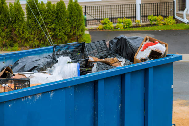 Yard Cleanup Services